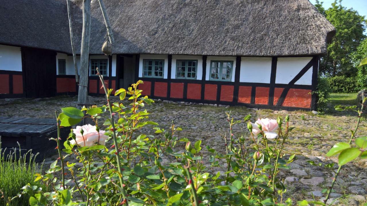 Thurup Hus Assens Exterior foto
